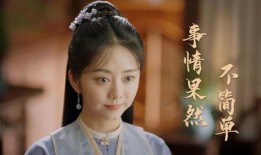 二姐电视剧在线观看,情感纠葛与命运抉择的电视剧深度解析