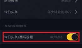 抖音爆料热门视频怎么看,爆款生成背后的秘密